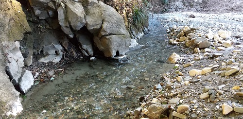 諏訪の水穴からの清流