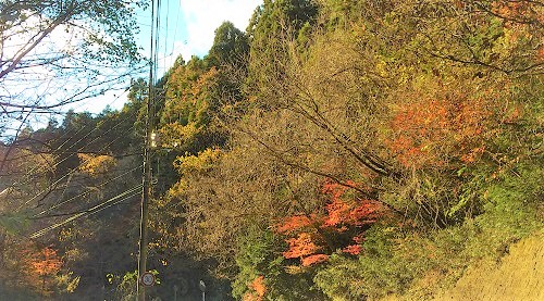 県道37号に、唐津沢（湖）を埋める土砂運搬ダンプや産廃運搬車の往復お断り