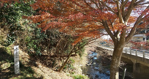 秋の諏訪梅林
