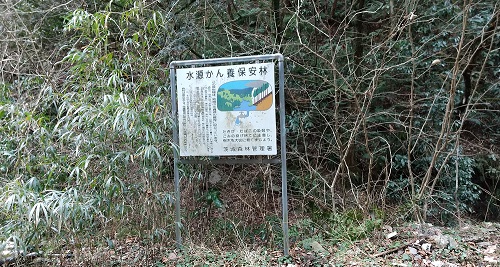 記者会見の様子
