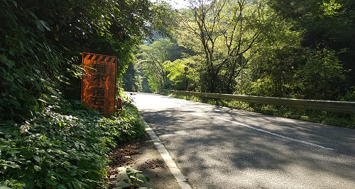 県道３７号